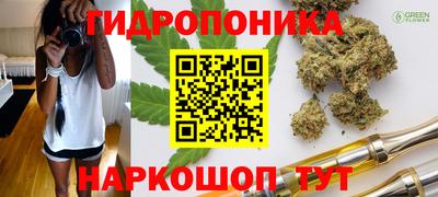 jwh Камышлов